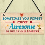 You Are Awesome Reminder Gift Birthday Gifts for Best Friend