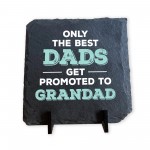 The Best Dads Get Promoted To Grandad Slate Plaque Grandfather