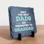 The Best Dads Get Promoted To Grandad Slate Plaque Grandfather