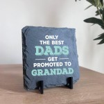 The Best Dads Get Promoted To Grandad Slate Plaque Grandfather