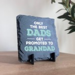 The Best Dads Get Promoted To Grandad Slate Plaque Grandfather