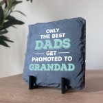 The Best Dads Get Promoted To Grandad Slate Plaque Grandfather