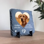 Pet Loss Memorial Plaque Personalised with Photo and Text