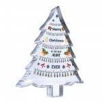 AUNT Gift Christmas Acrylic Christmas Tree Gift For Her