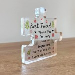 Best Friend Plaques Acrylic Puzzle Piece Friendship Gifts