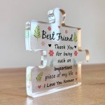 Best Friend Plaques Acrylic Puzzle Piece Friendship Gifts