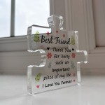 Best Friend Plaques Acrylic Puzzle Piece Friendship Gifts