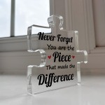 Gifts for Colleagues Women Friend Puzzle Piece Acrylic Plaque