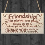 Freindship Funny Poem Wooden Plaque Gift