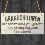 Grandchildren Are The Reward Novelty Wooden Hanging Plaque Gift 