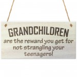 Grandchildren Are The Reward Novelty Wooden Hanging Plaque Gift 