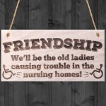 Friendship Old Ladies Causing Trouble Novelty Wooden Plaque