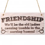 Friendship Old Ladies Causing Trouble Novelty Wooden Plaque