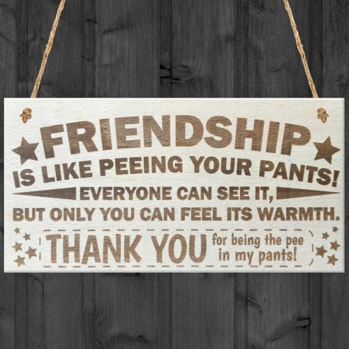 Friendship Like Peeing Your Pants Novelty Wooden Hanging Plaque