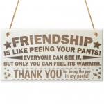 Friendship Like Peeing Your Pants Novelty Wooden Hanging Plaque