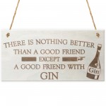 Good Friend With Gin Novelty Wooden Hanging Plaque Gift