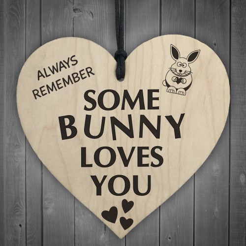 Some Bunny Loves You Novelty Wooden Hanging Heart Plaque